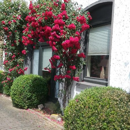 Altstadt-Apartment פטרסהאגן מראה חיצוני תמונה