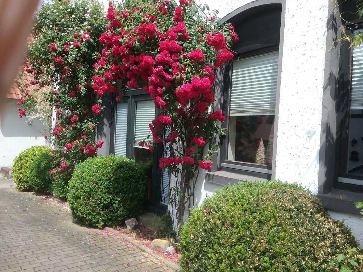Altstadt-Apartment פטרסהאגן מראה חיצוני תמונה